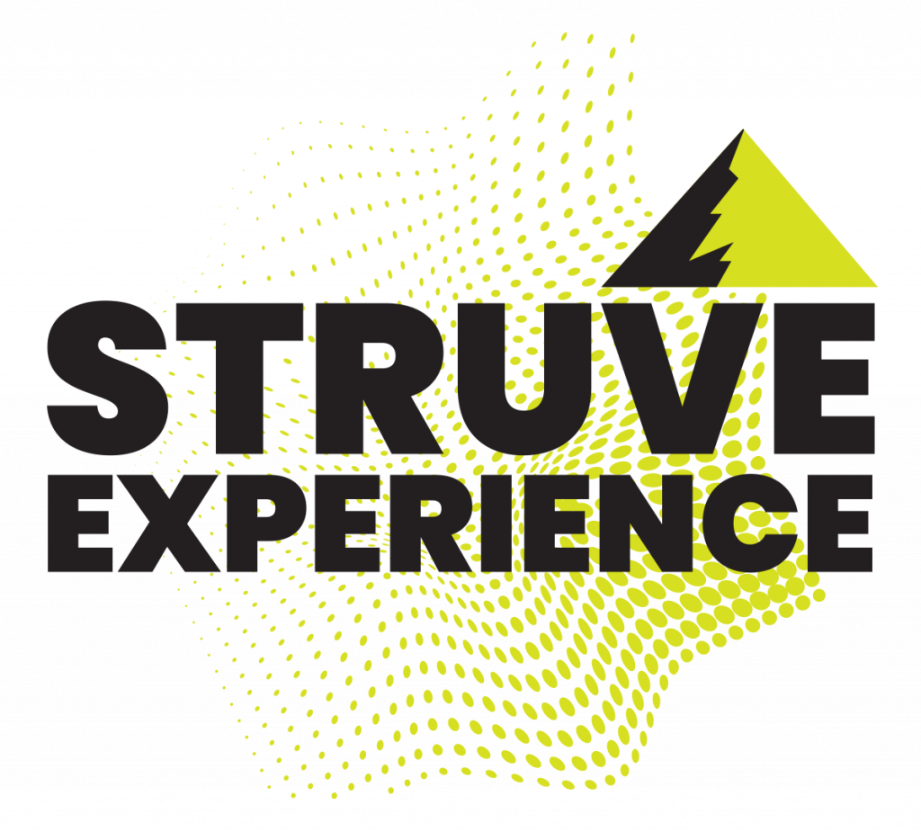 Struve Experience -logo.